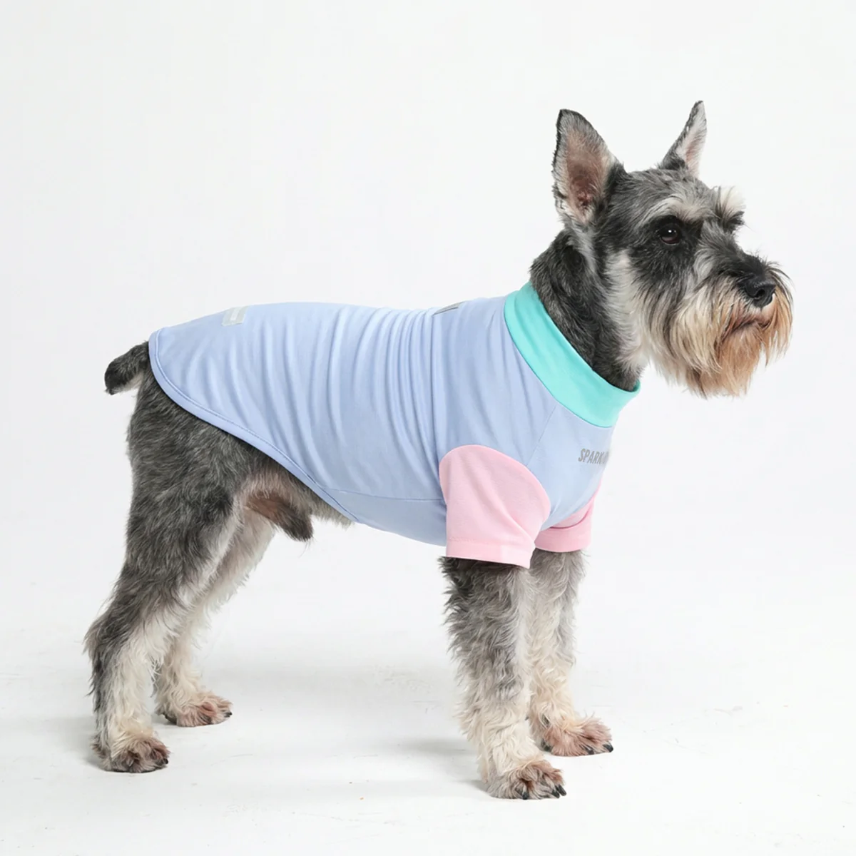 Vorschaubild 1